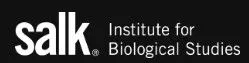 Partial logo of an institute related to biological sciences.